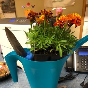 Meet your Posher, Stacy